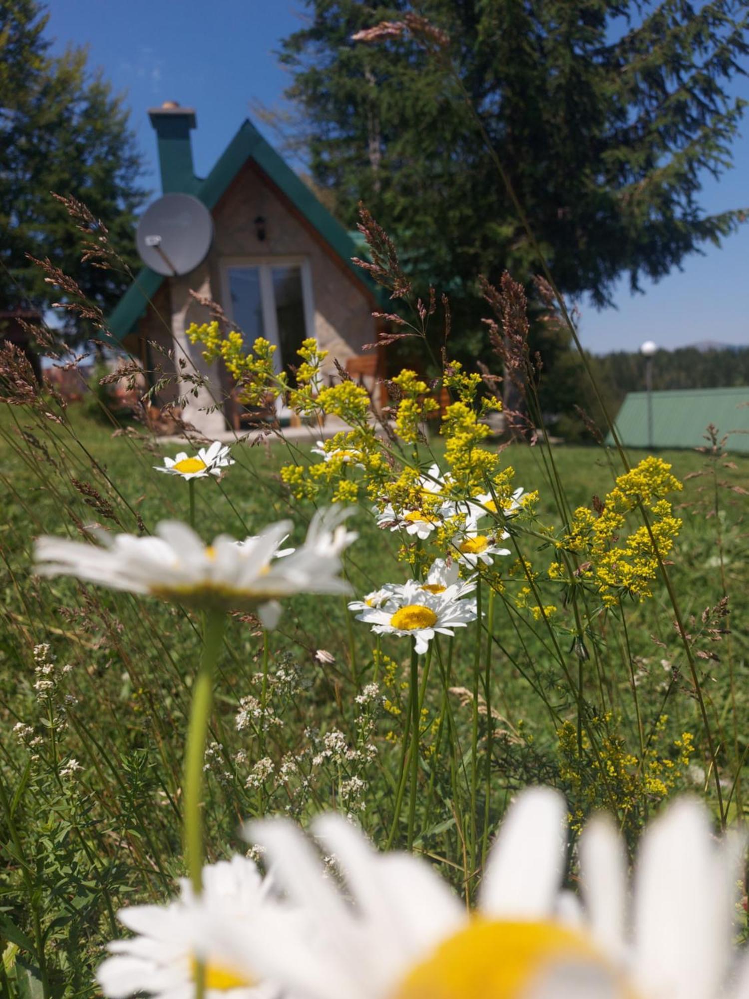 Durmitor Bungalows Žabljak Exterior foto